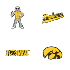 Budz | Iowa Hawkeyes | 4-Pack Bundle