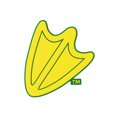 Budz | Oregon Ducks