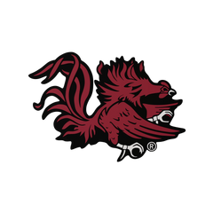 Budz | South Carolina Gamecocks