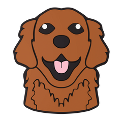 Budz | Retriever