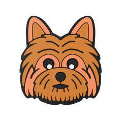 Budz | Terrier